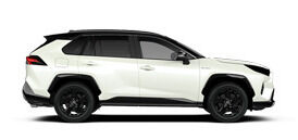 RAV-4 